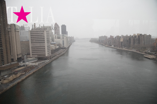 Ист Ривер. Вид с воздушного трамвая Roosevelt Island Tramway.